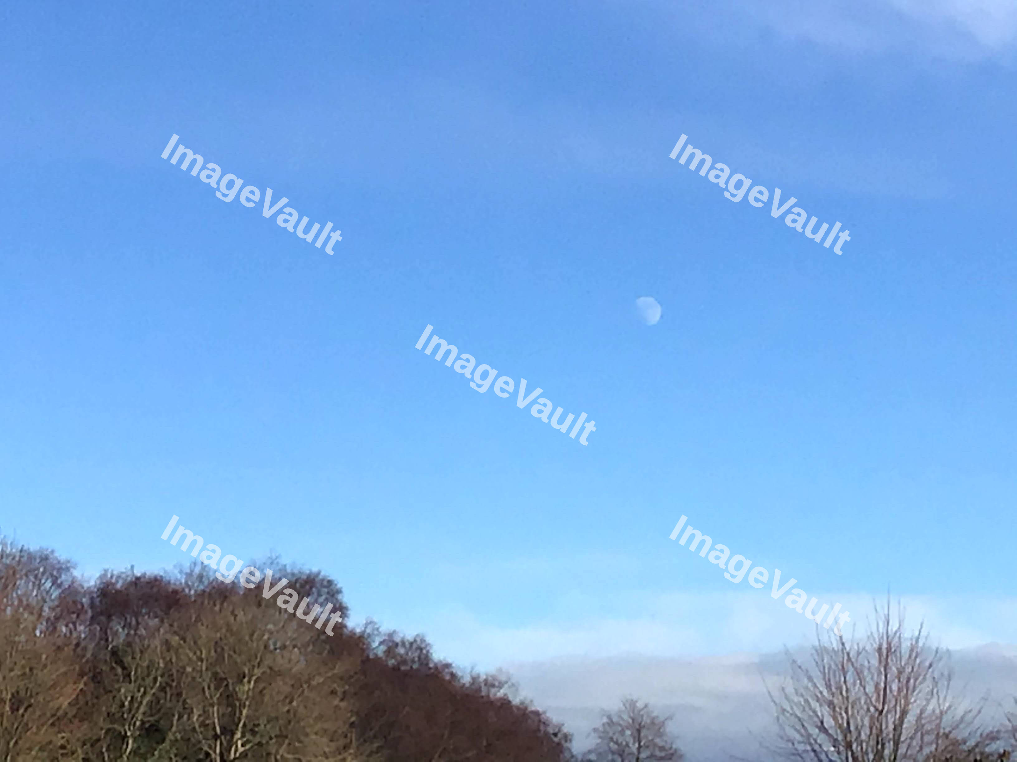 Moon During Daytime